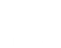 OPÇÕES DE LOGO - TERRA VERDE (2)